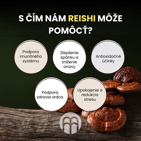 Ilustrácia očkovania drevených klátikov sadbou húb Reishi
