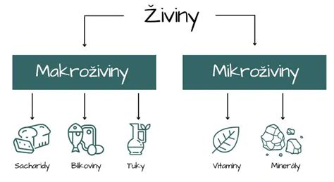 Infografika porovnávajúca makroživiny a mikroživiny pre rastliny