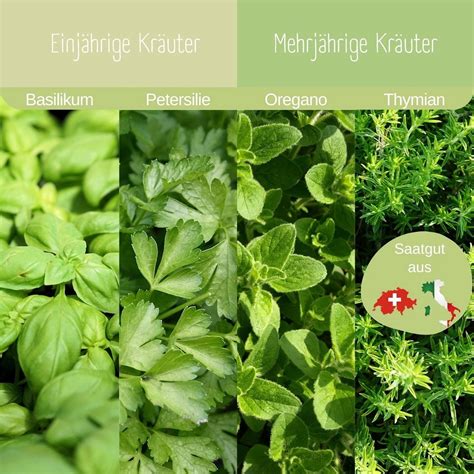 aranžmán čerstvých byliniek vrátane oregana