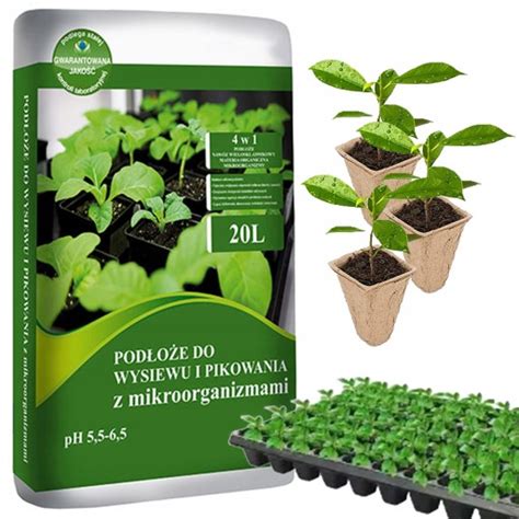 Ilustrácia pôdy s organickými látkami a mikroorganizmami.