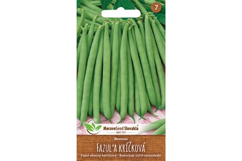 schéma výsadby fazule (kríčková a ťahavá s oporou)