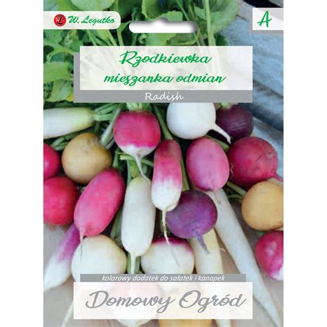 Ilustračná fotografia rôznych druhov bielej reďkovky, vrátane odrody Daikon a guľatej bielej reďkovky.