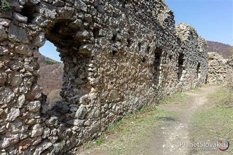 Detailný pohľad na štruktúru šampiňónového substrátu