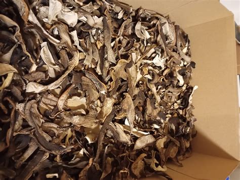 Usporiadané čerstvé šampiňóny pripravené na skladovanie alebo konzumáciu