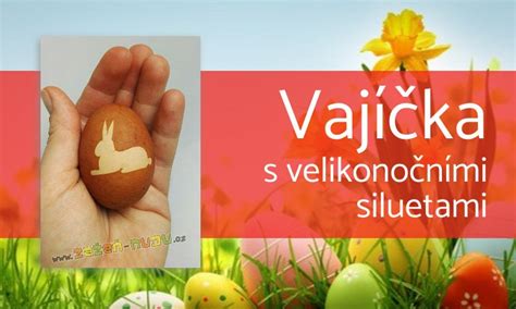 Tematický obrázok s názvami projektov a siluetami vedcov