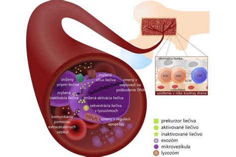 Grafické znázornenie oka s ikonami vitamínov a antioxidantov