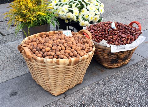 Ilustrácia správneho tvaru koruny liesky po reze