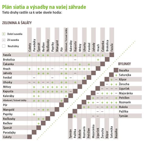 Ilustrácia kalendára siatia zeleniny s vyznačenými mesiacmi a odporúčanými plodinami