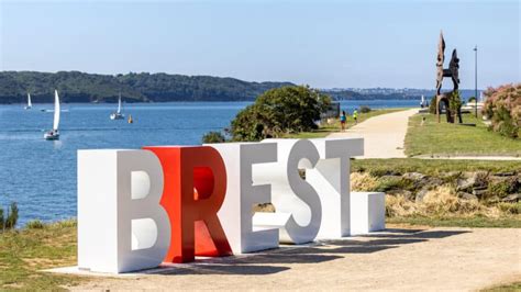 ilustrácia stromu Brest červený s detailom kôry a listov