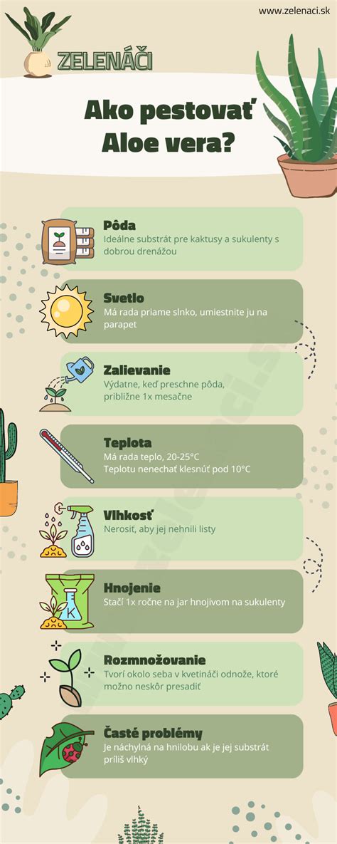 Infografika zobrazujúca hlavné účinky Aloe Vera gélu na pokožku.