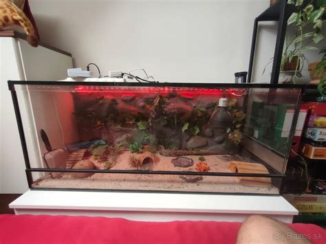 Ukážka vhodne zariadeného terária pre gekončíka nočného s úkrytmi a dekoráciami