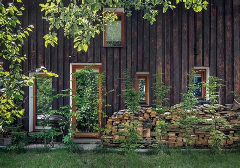 Ilustrácia techniky suchého prístrešku pomocou drevených dosiek a organického materiálu nad ohnutým viničom.