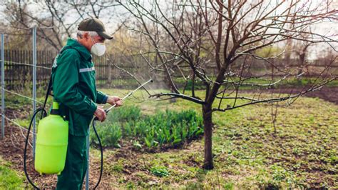 Ukážka rôznych ekologických prípravkov na predjarný postrek