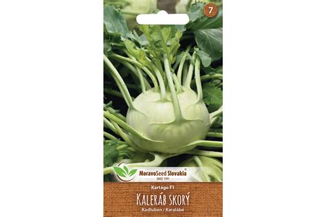 Ilustrácia správne odrezaných listov kalerábu pred uskladnením