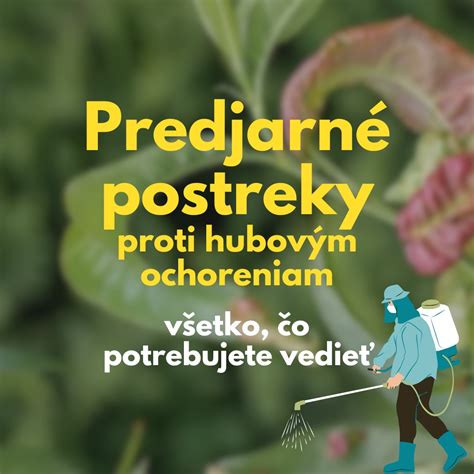Schéma pôsobenia sírových fungicídov na hubové spóry v listoch rastlín