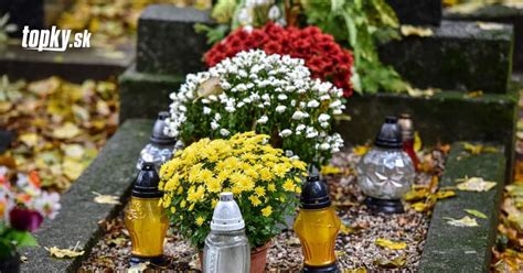 Výber odolných okrasných drevín a trvaliek vhodných na výsadbu na hrobové miesta