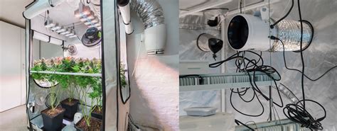 Schéma optimálneho usporiadania growboxu s osvetlením, ventiláciou a kvetináčmi