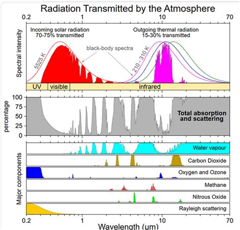 Graf znázorňujúci zmenu svetelného spektra a dĺžku cyklov v jednotlivých fázach rastliny