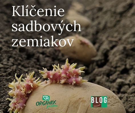 infografika s výhodami prekrajovania sadbových zemiakov