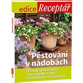 Schéma pestovania stĺpovitých jabloní v nádobách na terase
