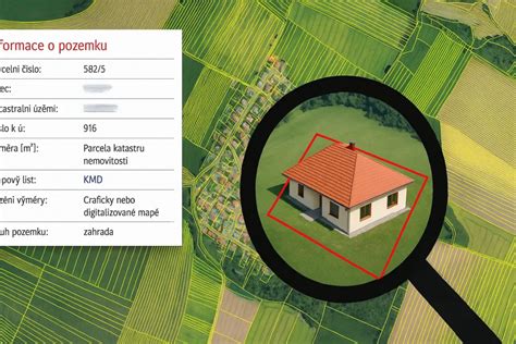 Infografika ideálnej výsadby drieňa s vyznačeným miestom štepenia