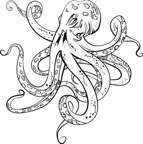 Ilustrácia chobotnice obyčajnej s jej charakteristickými ramenami a prísavkami.