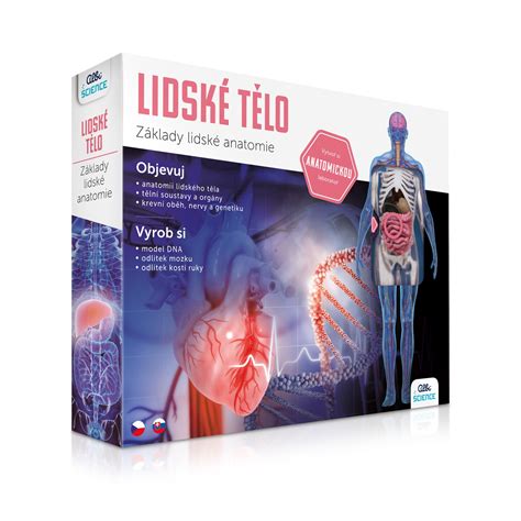 Infografika vysvetľujúca aktívne zložky cesnaku a ich vplyv na ľudské telo