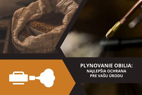schéma zobrazujúca proces chemického dozrievania obilia a jeho potenciálne dopady