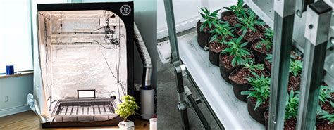 špecifické vybavenie pre pestovanie konope v interiéri