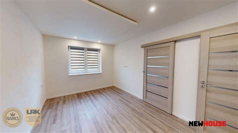 Mladý stromček moruše čiernej vysadený na slnečnom mieste