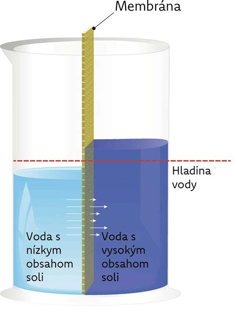 Schéma porovnávajúca polievanie rastlín zhora a zospodu do podmisky