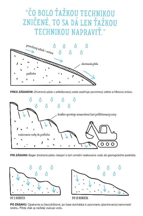 Názorná schéma znázorňujúca proces odberu a zapichovania drevených odrezkov do pôdy.