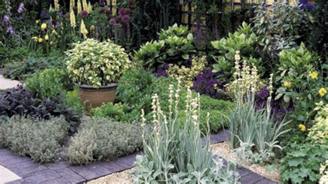 Infografika s príkladmi kombinácií rôznych druhov trvaliek v záhone