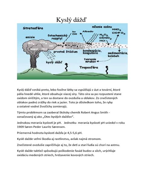 ilustrácia správneho presádzania vresu s dôrazom na drenáž a kyslý substrát