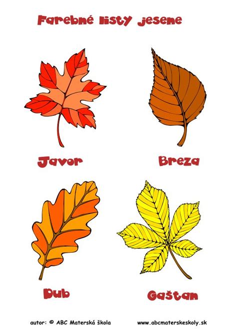 farebný list slivky čerešňoplodej