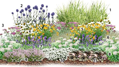 Slnečné stanovište pre mišpuľu japonskú