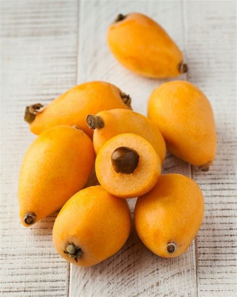 Citlivosť plodov mišpule japonskej na mráz