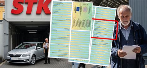 Ilustrácia orientovanej výsadby strúčikov v riadku pre lepšiu následnú kultiváciu