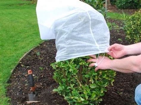 Ilustrácia rôznych metód ochrany viniča pred mrazom: zavlažovanie, prekrytie textíliou, ohrievače.