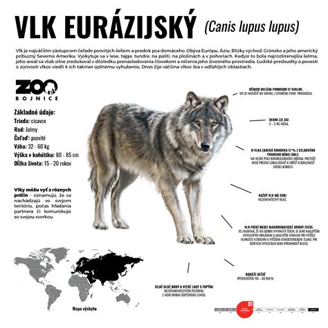 Infografika porovnávajúca základné druhy cédrov (vzhľad, pôvod, odolnosť).