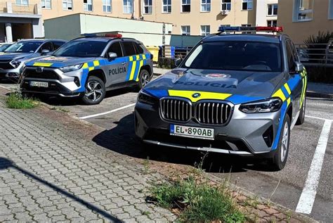 Ilustračná fotografia stromu