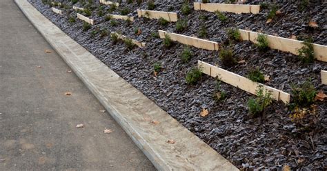 Ilustrácia pôdy s vrstvou mulču a rastlinami