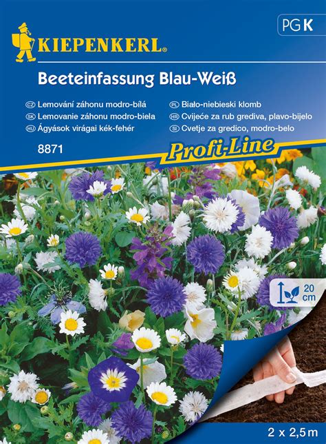 ilustrácia rôznych druhov modro kvitnúcich pôdopokryvných rastlín, infografika