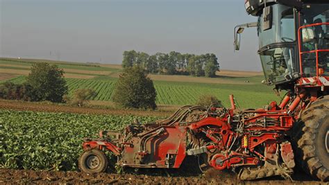 ilustrácia európskych fondov na podporu poľnohospodárstva a farmára na poli
