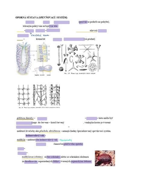 Detail opornej siete s jasne viditeľnými okami