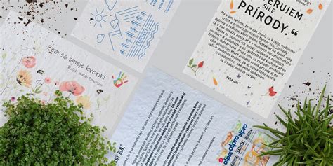 Ilustrácia znázorňujúca kroky pestovania rastliny z rastúceho papiera