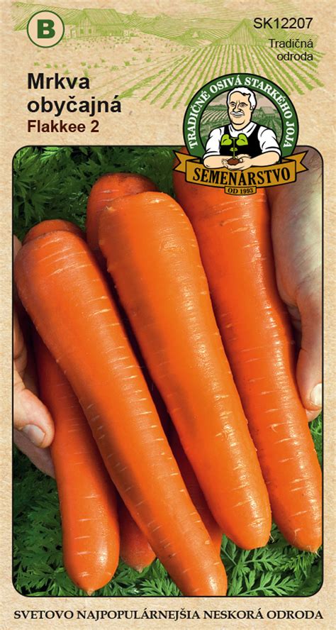 Detaily výsevu semien mrkvy