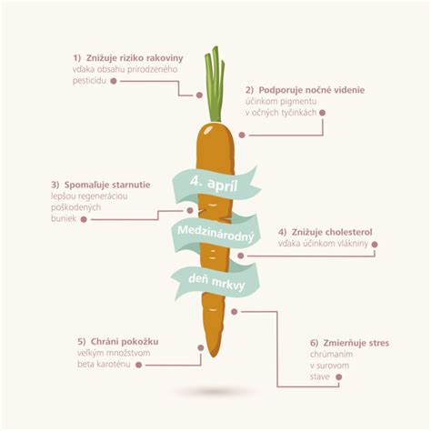 Ilustrácia poškodenia mrkvy škodcom
