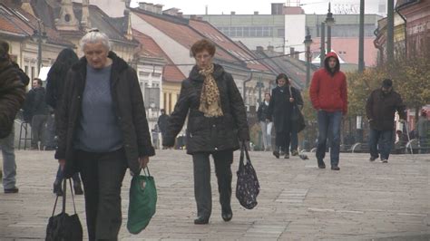 Schéma znázorňujúca rozdiely medzi rododendronom a azalkou (veľkosť kvetov, tvar listov, typ rastu)