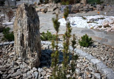 Detailná fotografia textúry kamennej kôry v záhrade.